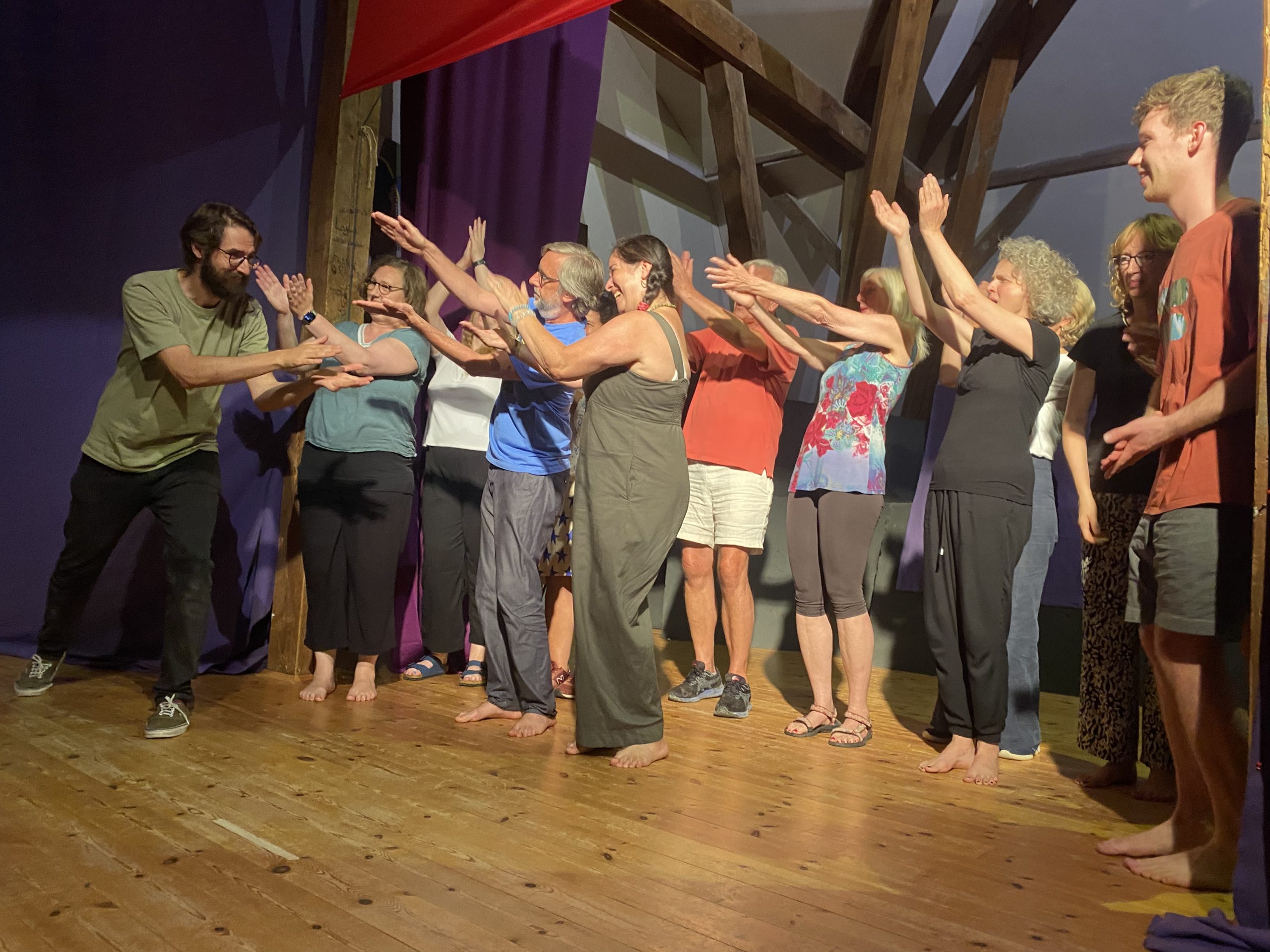 Die Gorillas Sommerakademie